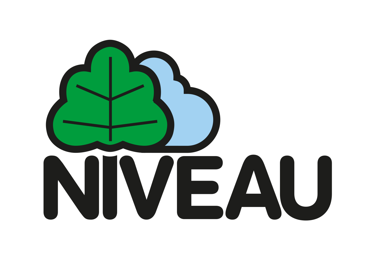 Niveau Cloud Logo